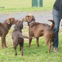 Ben, Alina, Max & Alwin