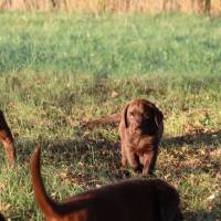 IMG_3438.JPG